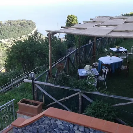 Oliva Scala