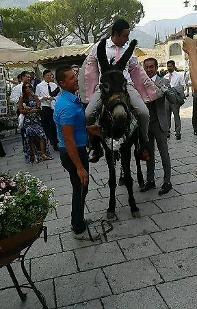 Oliva לינה וארוחת בוקר