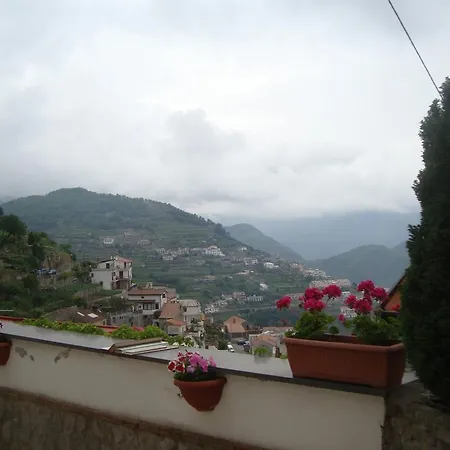 Bed & Breakfast Oliva