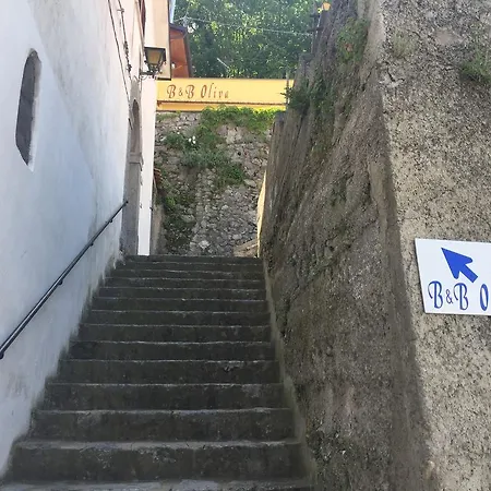 Oliva Scala