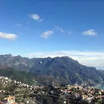 Oliva
