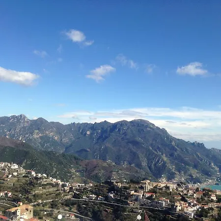 Oliva