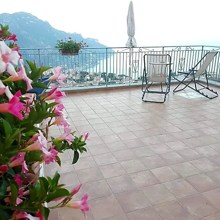 Oliva Scala