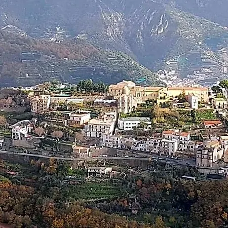 Oliva