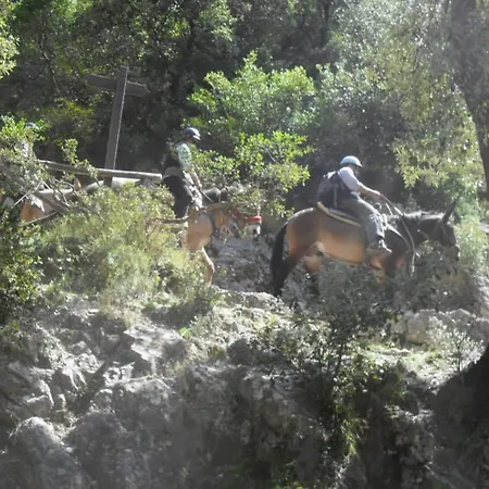 Alojamento de Acomodação e Pequeno-almoço Oliva