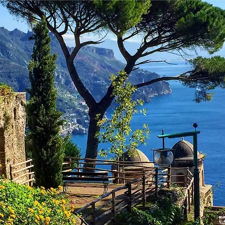 Alojamento de Acomodação e Pequeno-almoço Oliva