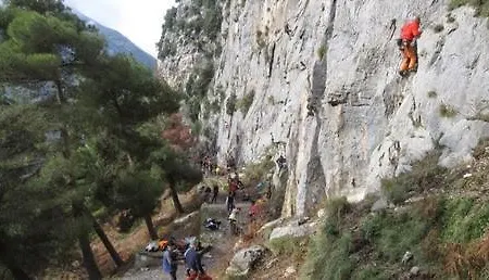 Alojamento de Acomodação e Pequeno-almoço Oliva 4*