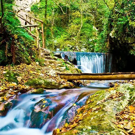 Bed and Breakfast Oliva Scala