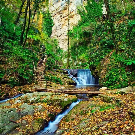 Bed and Breakfast Oliva 4*