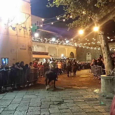 לינה וארוחת בוקר Oliva